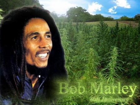 ibou